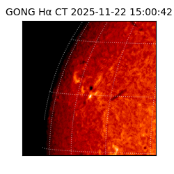 gong - 2025-11-22T15:00:42