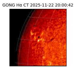 gong - 2025-11-22T20:00:42