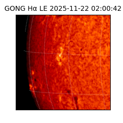 gong - 2025-11-22T02:00:42