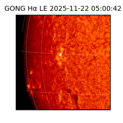 gong - 2025-11-22T05:00:42