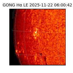 gong - 2025-11-22T06:00:42