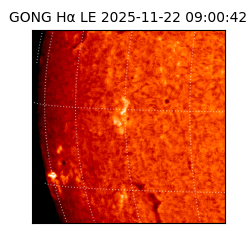gong - 2025-11-22T09:00:42