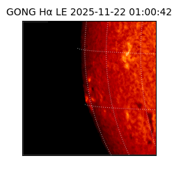 gong - 2025-11-22T01:00:42