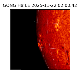 gong - 2025-11-22T02:00:42