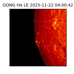 gong - 2025-11-22T04:00:42