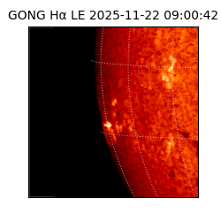gong - 2025-11-22T09:00:42