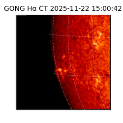 gong - 2025-11-22T15:00:42