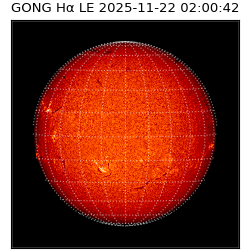 gong - 2025-11-22T02:00:42
