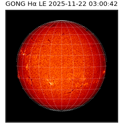gong - 2025-11-22T03:00:42