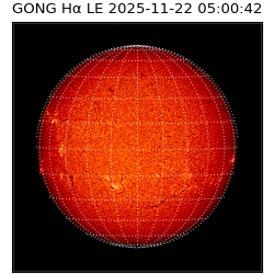 gong - 2025-11-22T05:00:42