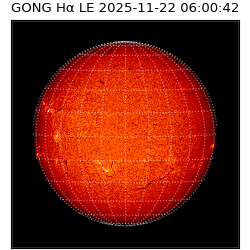 gong - 2025-11-22T06:00:42