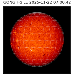gong - 2025-11-22T07:00:42
