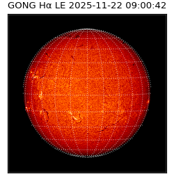 gong - 2025-11-22T09:00:42