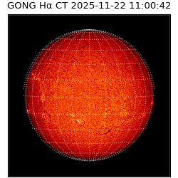 gong - 2025-11-22T11:00:42