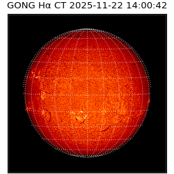 gong - 2025-11-22T14:00:42
