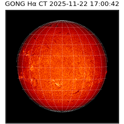 gong - 2025-11-22T17:00:42