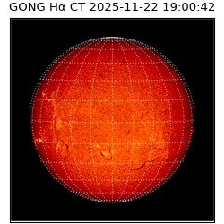gong - 2025-11-22T19:00:42