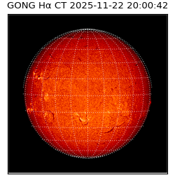 gong - 2025-11-22T20:00:42