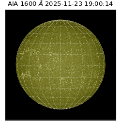 saia - 2025-11-23T19:00:14.126000