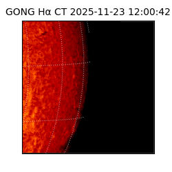 gong - 2025-11-23T12:00:42
