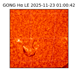 gong - 2025-11-23T01:00:42