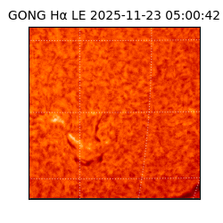 gong - 2025-11-23T05:00:42