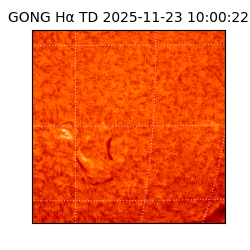gong - 2025-11-23T10:00:22