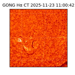 gong - 2025-11-23T11:00:42