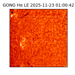 gong - 2025-11-23T01:00:42
