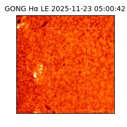 gong - 2025-11-23T05:00:42