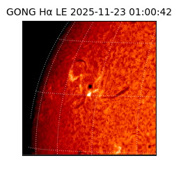 gong - 2025-11-23T01:00:42