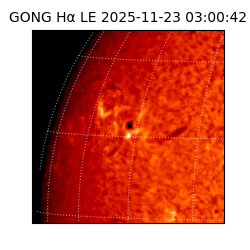 gong - 2025-11-23T03:00:42