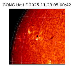 gong - 2025-11-23T05:00:42