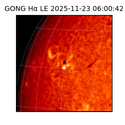 gong - 2025-11-23T06:00:42
