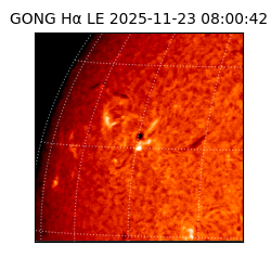 gong - 2025-11-23T08:00:42