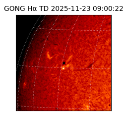 gong - 2025-11-23T09:00:22