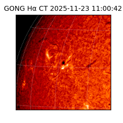 gong - 2025-11-23T11:00:42