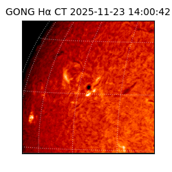 gong - 2025-11-23T14:00:42