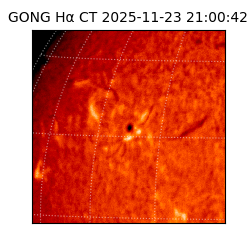 gong - 2025-11-23T21:00:42