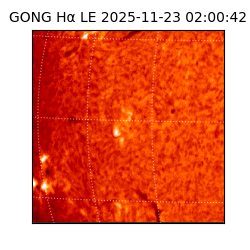 gong - 2025-11-23T02:00:42