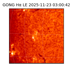 gong - 2025-11-23T03:00:42