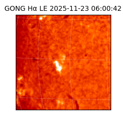 gong - 2025-11-23T06:00:42