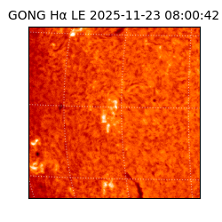 gong - 2025-11-23T08:00:42