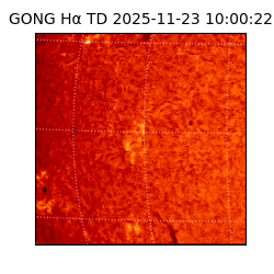 gong - 2025-11-23T10:00:22
