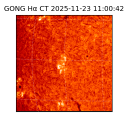 gong - 2025-11-23T11:00:42