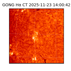 gong - 2025-11-23T14:00:42