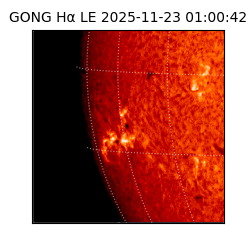 gong - 2025-11-23T01:00:42