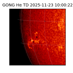 gong - 2025-11-23T10:00:22