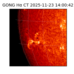 gong - 2025-11-23T14:00:42