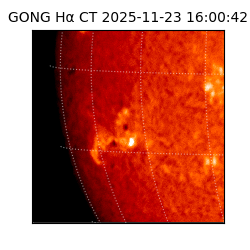 gong - 2025-11-23T16:00:42